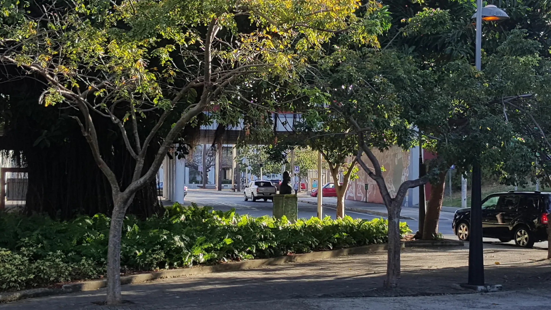 The Wave Hotel Condado San Juan